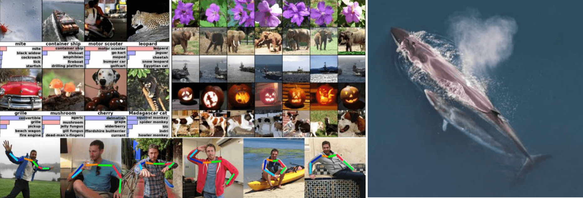 Deep learning is now everywhere